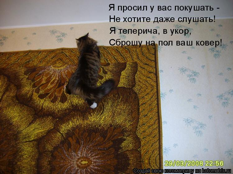 Я просил у вас покушать - Не хотите даже слушать! Я теперича, в укор, Сброшу на пол ваш ковер!... Котоматрица: Я просил у вас покушать - Не хотите даже слушать! Я теперича, в укор, Сброшу на пол ваш ковер!