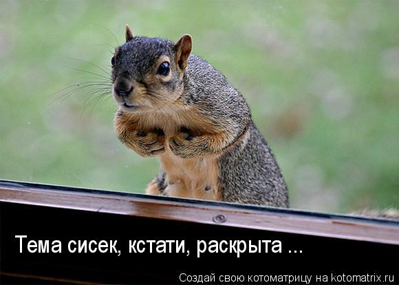 Тема сисек, кстати, раскрыта ...... Котоматрица: Тема сисек, кстати, раскрыта ...