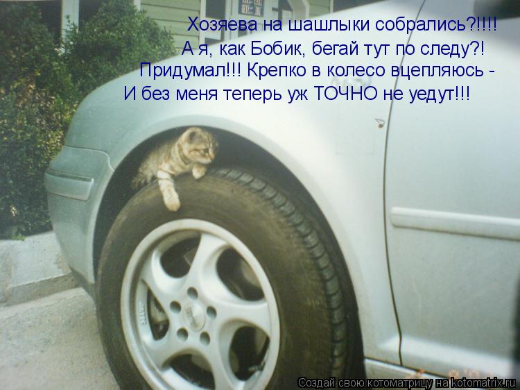 А я, как Бобик, бегай тут по следу?! Придумал!!! Крепко в колесо вцепляюсь - И без меня теперь уж ТО... Котоматрица: А я, как Бобик, бегай тут по следу?! Придумал!!! Крепко в колесо вцепляюсь - И без меня теперь уж ТОЧНО не уедут!!! Хозяева на шашлыки собрались?!