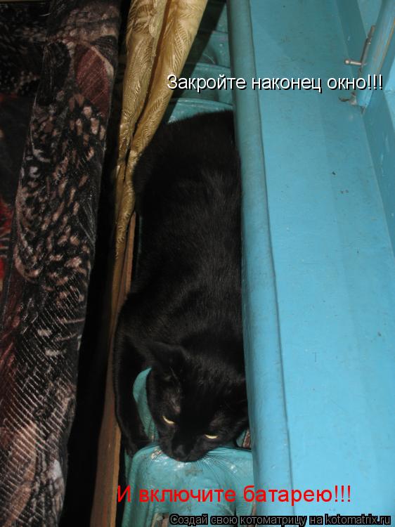 Закройте наконец окно!!! И включите батарею!!!... Котоматрица: Закройте наконец окно!!! И включите батарею!!!