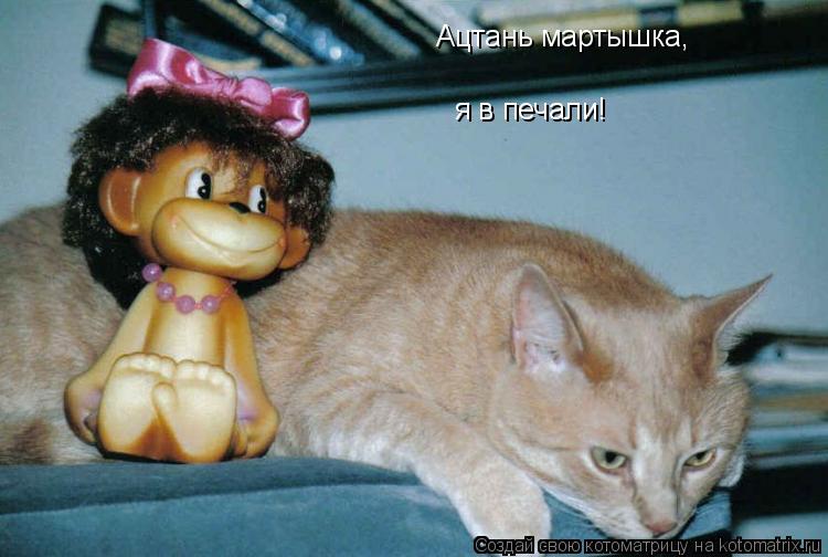 я в печали! Ацтань мартышка,... Котоматрица: я в печали! Ацтань мартышка,