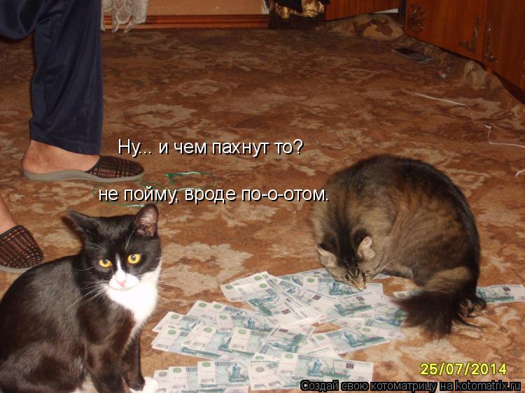 Ну... и чем пахнут то? не пойму, вроде по-о-отом.... Котоматрица: Ну... и чем пахнут то? не пойму, вроде по-о-отом.