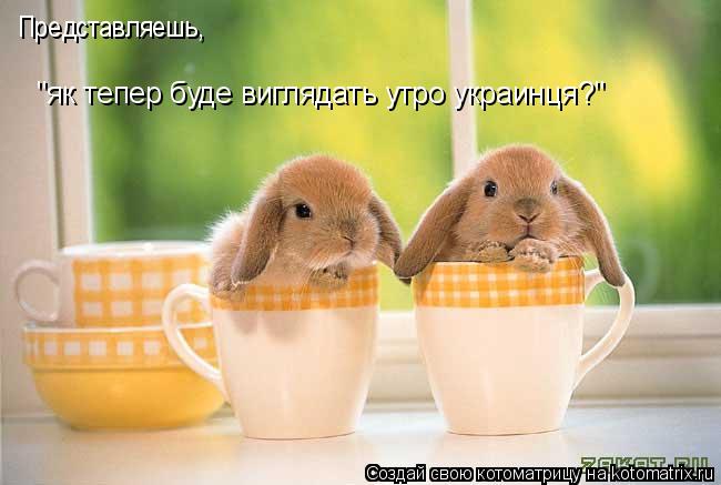 Представляешь, "як тепер буде виглядать утро украинця?"... Котоматрица: Представляешь, "як тепер буде виглядать утро украинця?"