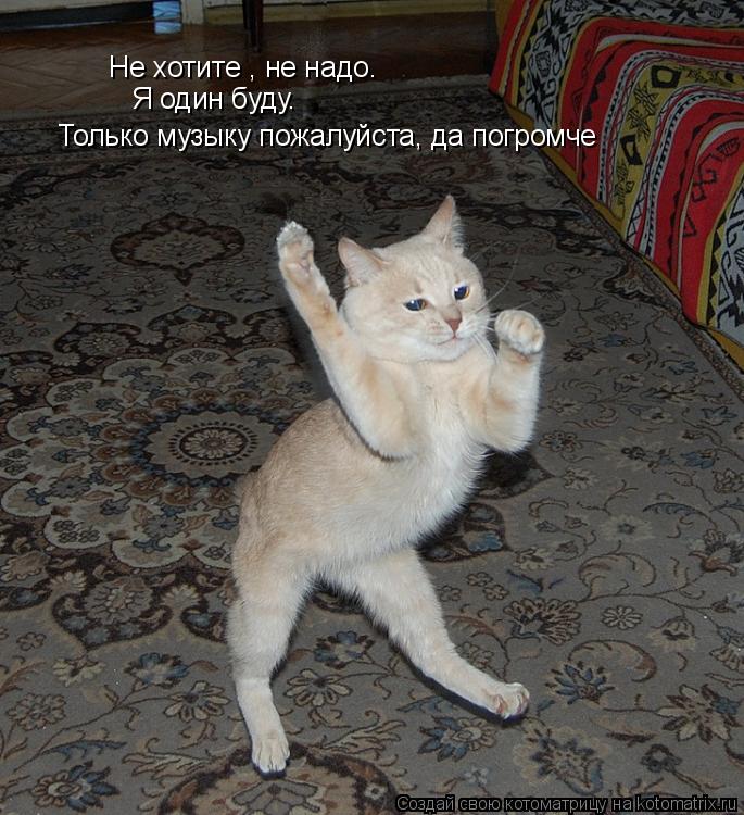 Не хотите , не надо. Я один буду. Только музыку пожалуйста, да погромче... Котоматрица: Не хотите , не надо. Я один буду. Только музыку пожалуйста, да погромче
