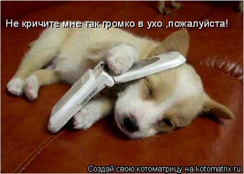 Не кричите мне так громко в ухо ,пожалуйста!... Котоматрица: Не кричите мне так громко в ухо ,пожалуйста!