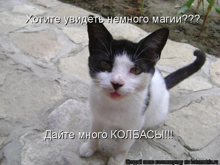 Хотите увидеть немного магии??? Дайте много КОЛБАСЫ!!!... Котоматрица: Хотите увидеть немного магии??? Дайте много КОЛБАСЫ!!!