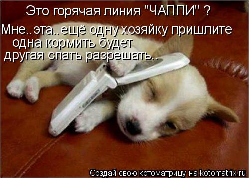Это горячая линия "ЧАППИ" ? Мне..эта..ещё одну хозяйку пришлите одна кормить будет другая спать разре... Котоматрица: Это горячая линия "ЧАППИ" ? Мне..эта..ещё одну хозяйку пришлите одна кормить будет другая спать разрешать..