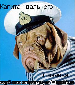 Капитан дальнего плаванья... Котоматрица: Капитан дальнего плаванья