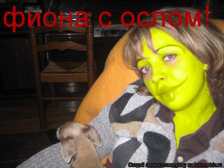 фиона с ослом!... Котоматрица: фиона с ослом!