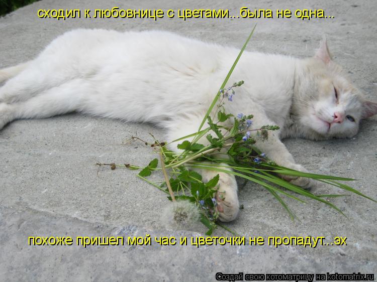 сходил к любовнице с цветами...была не одна... похоже пришел мой час и цветочки не пропадут...эх... Котоматрица: сходил к любовнице с цветами...была не одна... похоже пришел мой час и цветочки не пропадут...эх