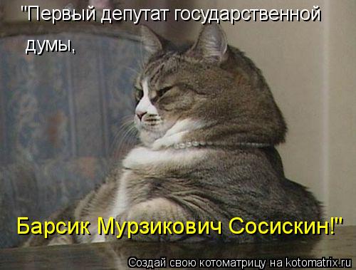"Первый депутат государственной думы, Барсик Мурзикович Сосискин!"... Котоматрица: "Первый депутат государственной думы, Барсик Мурзикович Сосискин!"
