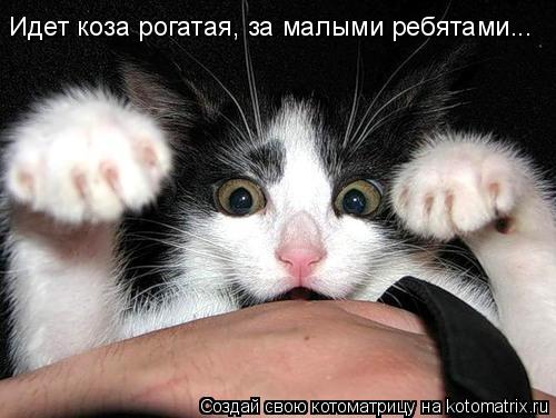 Идет коза рогатая, за малыми ребятами...... Котоматрица: Идет коза рогатая, за малыми ребятами...