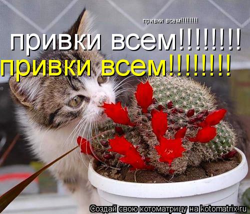 привки всем!!!!!!!! привки всем!!!!!!!! привки всем!!!!!!!!... Котоматрица: привки всем!!!!!!!! привки всем!!!!!!!! привки всем!!!!!!!!