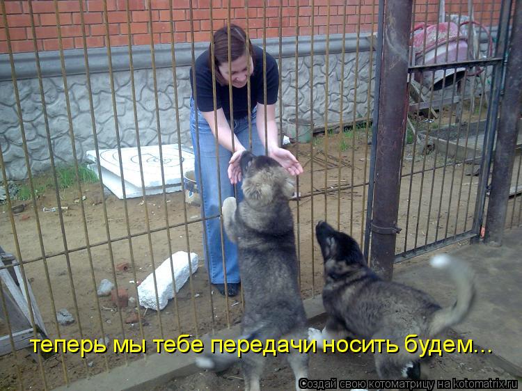 теперь мы тебе передачи носить будем...... Котоматрица: теперь мы тебе передачи носить будем...