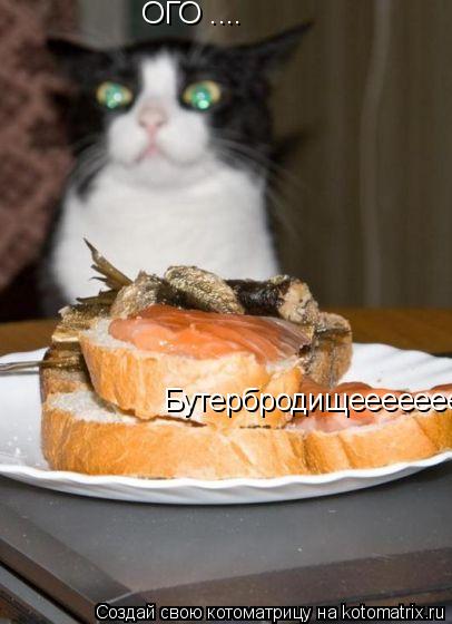 ОГО .... Бутербродищеееееееее..... Котоматрица: ОГО .... Бутербродищеееееееее..