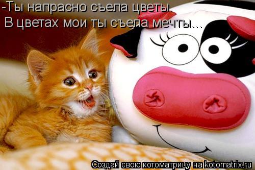 В цветах мои ты съела мечты... -Ты напрасно съела цветы.... Котоматрица: В цветах мои ты съела мечты... -Ты напрасно съела цветы.