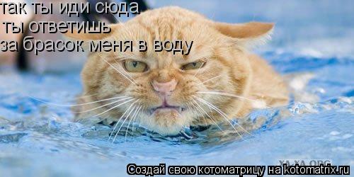 так ты иди сюда ты ответишь за брасок меня в воду... Котоматрица: так ты иди сюда ты ответишь за брасок меня в воду