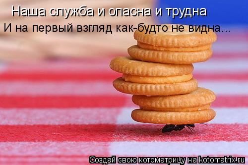 Наша служба и опасна и трудна И на первый взгляд как-будто не видна...... Котоматрица: Наша служба и опасна и трудна И на первый взгляд как-будто не видна...