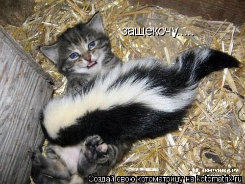 защекочу........ Котоматрица: защекочу.....