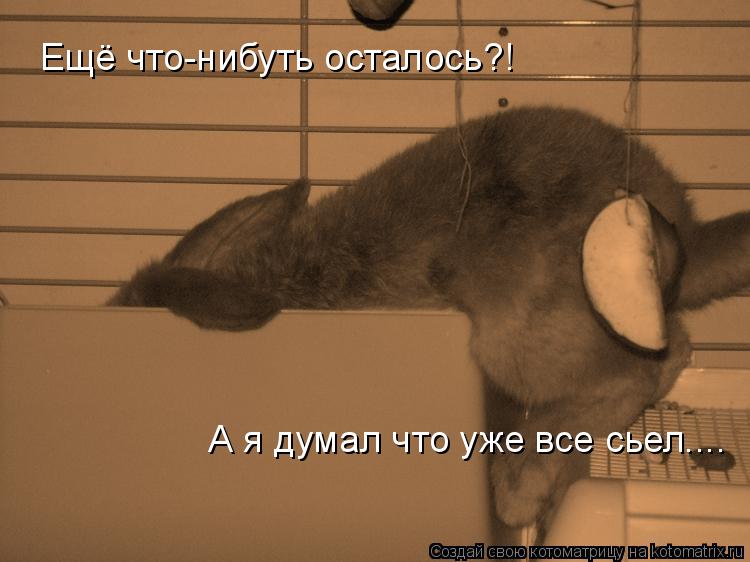 Ещё что-нибуть осталось?! А я думал что уже все сьел....... Котоматрица: Ещё что-нибуть осталось?! А я думал что уже все сьел....