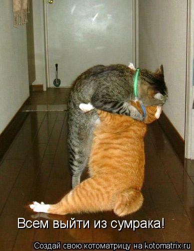 Всем выйти из сумрака!... Котоматрица: Всем выйти из сумрака!