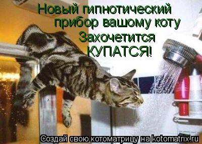 Новый гипнотический прибор вашому коту Захочетится КУПАТСЯ!... Котоматрица: Новый гипнотический прибор вашому коту Захочетится КУПАТСЯ!
