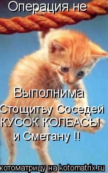Операция не Выполнима КУСОК КОЛБАСЫ и Сметану !! Стощитьу Соседей... Котоматрица: Операция не Выполнима КУСОК КОЛБАСЫ и Сметану !! Стощитьу Соседей