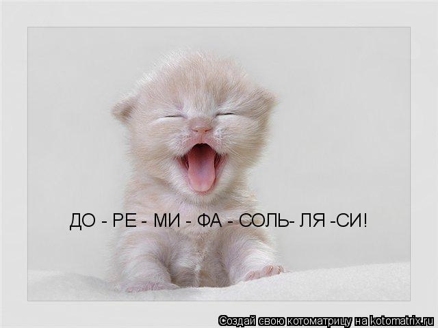 ДО - РЕ - МИ - ФА - СОЛЬ- ЛЯ -СИ!... Котоматрица: ДО - РЕ - МИ - ФА - СОЛЬ- ЛЯ -СИ!