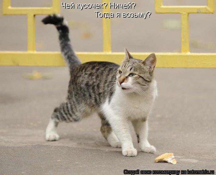 Чей кусочек? Ничей? Тогда я возьму?... Котоматрица: Чей кусочек? Ничей? Тогда я возьму?