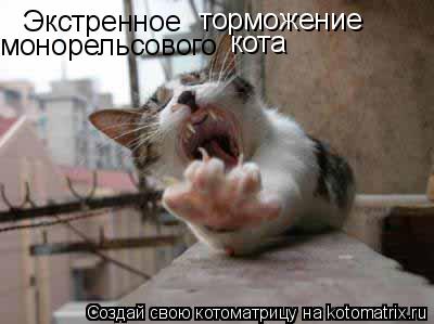 Экстренное торможение монорельсового кота... Котоматрица: Экстренное торможение монорельсового кота