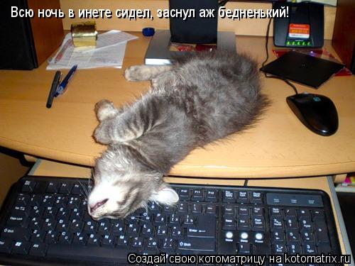 Всю ночь в инете сидел, заснул аж бедненький!... Котоматрица: Всю ночь в инете сидел, заснул аж бедненький!