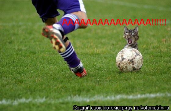 ААААААААААААААА!!!!!!... Котоматрица: ААААААААААААААА!!!!!!