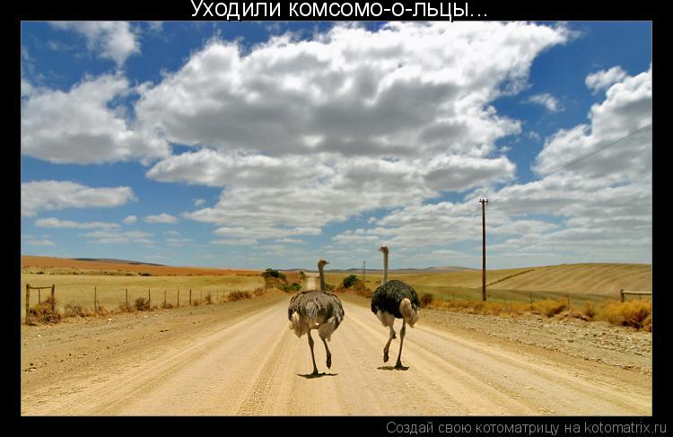 Уходили комсомо-о-льцы...... Котоматрица: Уходили комсомо-о-льцы...