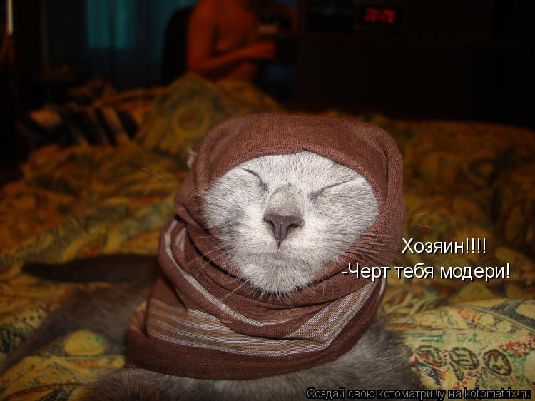 -Черт тебя модери! Хозяин!!!!... Котоматрица: -Черт тебя модери! Хозяин!!!!