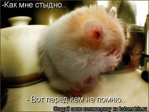 -Как мне стыдно.. - Вот перед кем не помню..... Котоматрица: -Как мне стыдно.. - Вот перед кем не помню..