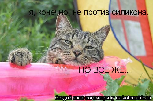 я, конечно, не против силикона. НО ВСЕ ЖЕ...... Котоматрица: я, конечно, не против силикона. НО ВСЕ ЖЕ...