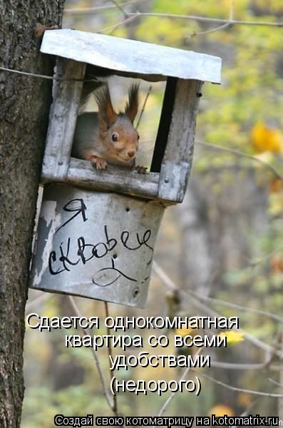 Сдается однокомнатная квартира со всеми удобствами (недорого)... Котоматрица: Сдается однокомнатная квартира со всеми удобствами (недорого)