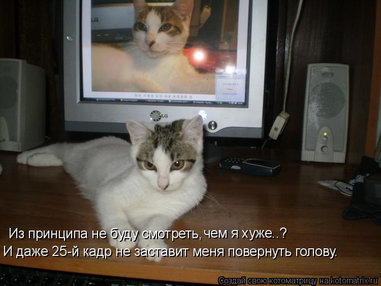 Из принципа не буду смотреть, чем я хуже..? И даже 25-й кадр не заставит меня повернуть голову.... Котоматрица: Из принципа не буду смотреть, чем я хуже..? И даже 25-й кадр не заставит меня повернуть голову.