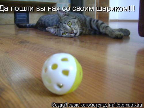 Да пошли вы нах со своим шариком!!!... Котоматрица: Да пошли вы нах со своим шариком!!!