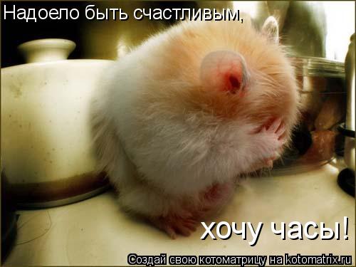Hадоело быть счастливым, хочу часы!... Котоматрица: Hадоело быть счастливым, хочу часы!