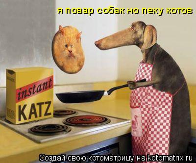 я повар собак но пеку котов... Котоматрица: я повар собак но пеку котов
