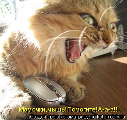 Мамочки,мышь!Помогите!А-а-а!!!... Котоматрица: Мамочки,мышь!Помогите!А-а-а!!!