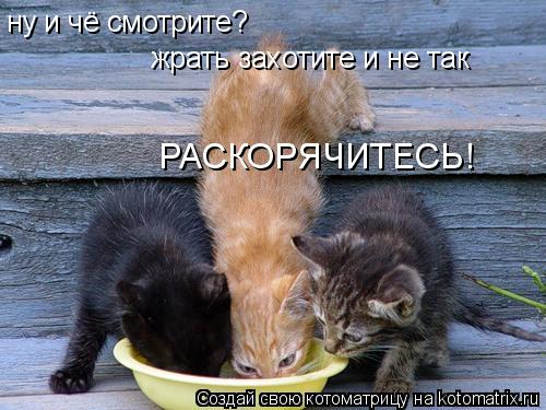ну и чё смотрите? жрать захотите и не так РАСКОРЯЧИТЕСЬ!... Котоматрица: ну и чё смотрите? жрать захотите и не так РАСКОРЯЧИТЕСЬ!
