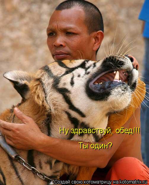 Ну здравствуй, обед!!! Ты один?... Котоматрица: Ну здравствуй, обед!!! Ты один?