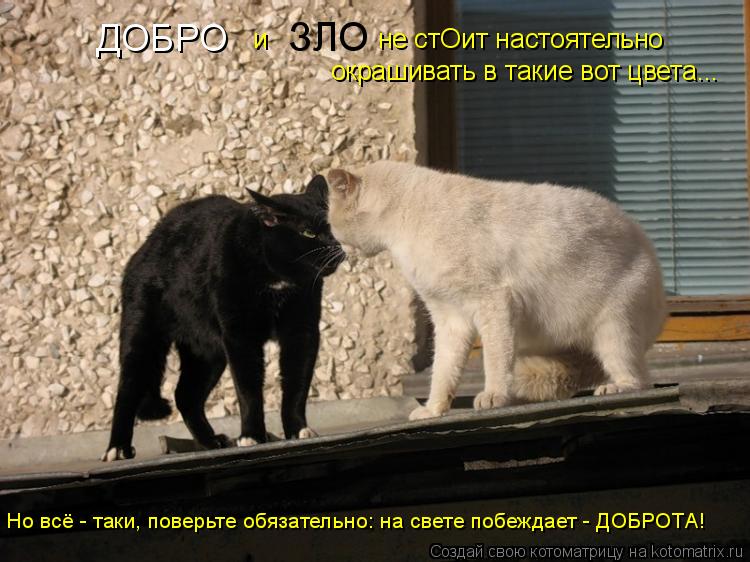 ЗЛО и не стОит настоятельно ДОБРО окрашивать в такие вот цвета... Но всё - таки, пове... Котоматрица: ЗЛО и не стОит настоятельно ДОБРО окрашивать в такие вот цвета... Но всё - таки, поверьте обязательно: на свете побеждает - ДОБРОТА!