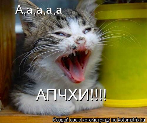 А,а,а,а,а АПЧХИ!!!!... Котоматрица: А,а,а,а,а АПЧХИ!!!!