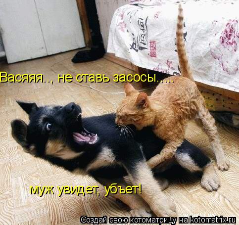 Васяяя.., не ставь засосы..... муж увидет, убъет!... Котоматрица: Васяяя.., не ставь засосы..... муж увидет, убъет!