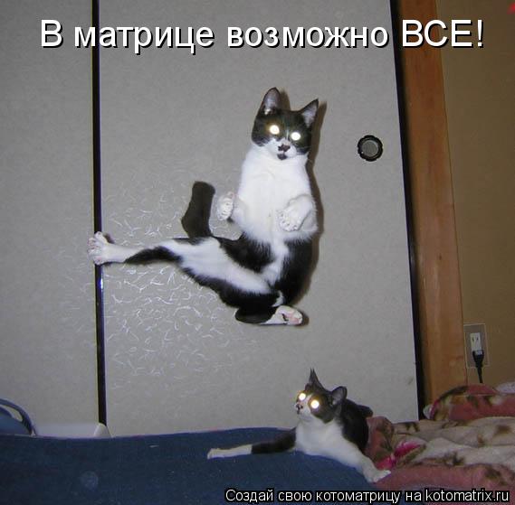 В матрице возможно ВСЕ!... Котоматрица: В матрице возможно ВСЕ!