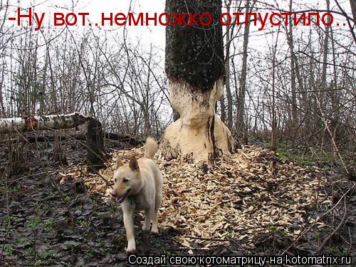 -Ну вот..немножко отпустило..... Котоматрица: -Ну вот..немножко отпустило..