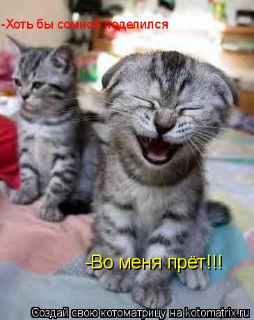 -Во меня прёт!!! -Хоть бы сомной поделился... Котоматрица: -Во меня прёт!!! -Хоть бы сомной поделился